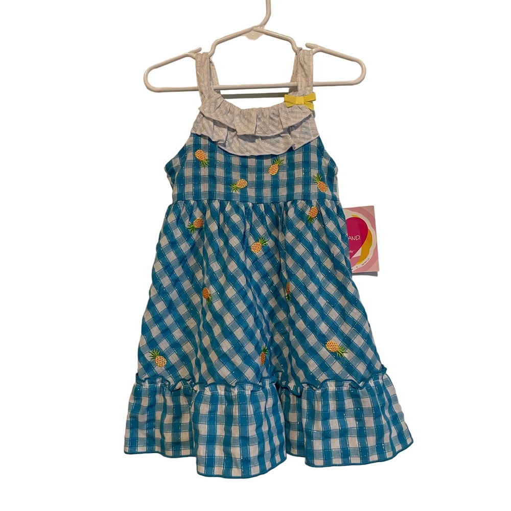 Youngland pineapple embroidered dress blue checkered lightweight Size 3T